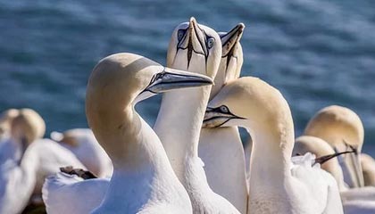 比特币为什么突然火起来了？到底什么是比特币？