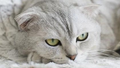 比特币交易所是如何工作的？