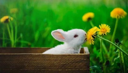 比特币突发崩盘式暴跌，超47万人爆仓400亿！发生了什么？