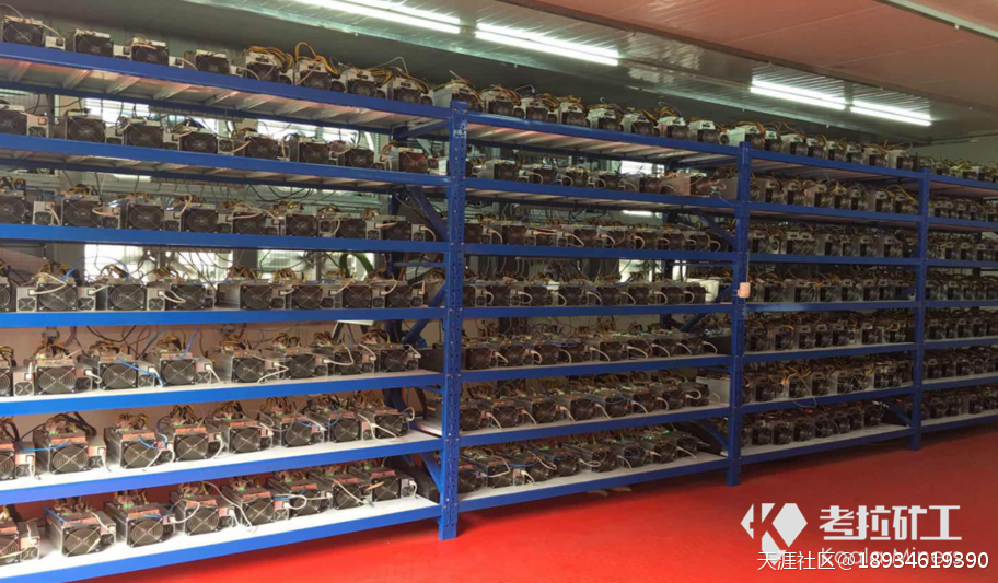 詹克团担任高管的一家矿场部署<strong></p>
<p>比特币矿场</strong>了10万台机位,全挖比特币