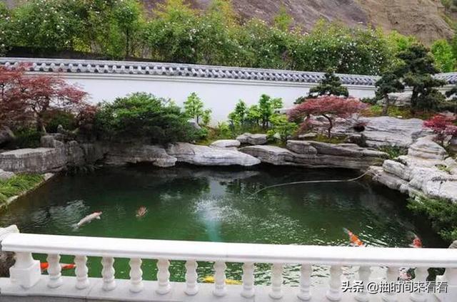 院里挖个小鱼塘<strong></p>
<p>比特币矿池</strong>，在什么位置合适？长、宽、高分别是多少合适，就可以养鱼和种荷花？