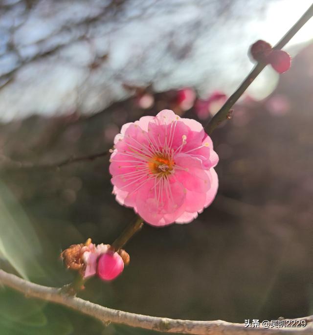 比特币现在50000美元<strong></p>
<p>比特币价格今日</strong>,有谁像我一样错过成为亿万富翁机会?