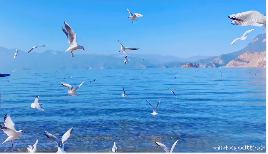 国家打击比特币<strong></p>
<p>比特币软件</strong>,FIL还有希望吗?FIL未来有什么价值?前景如何?