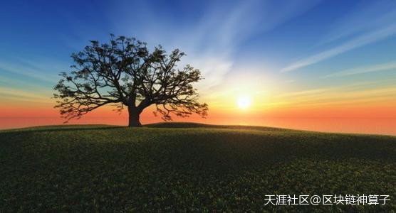 区块链神算子：9.17比特币夜间简评 凌晨或将疾风骤雨切勿抱头乱撞