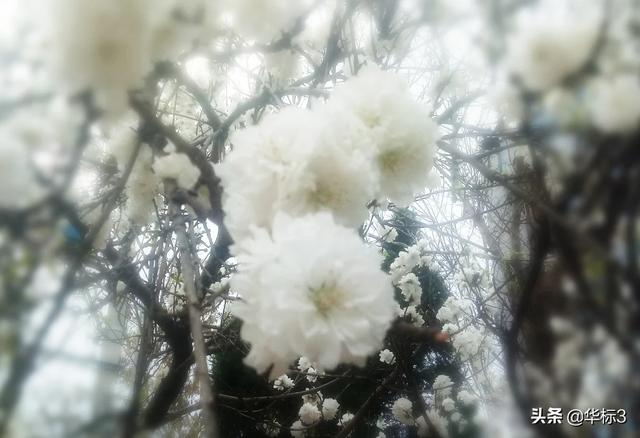 区块链和虚拟货币有什么关系<strong></p>
<p>区块链货币价格</strong>?比特币值钱是因它是区块链技术运用的记账代码?