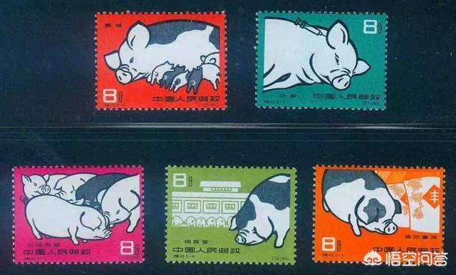 随着网络的发展<strong></p>
<p>币小哥</strong>,你认为邮票会退出历史舞台吗?