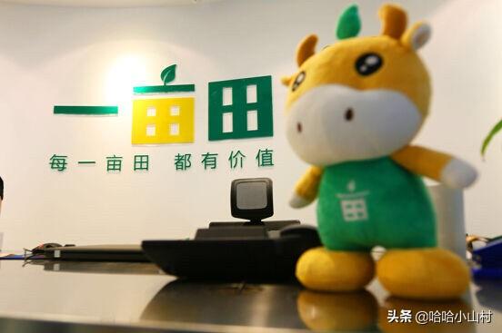 全国比较权威的农产品交易网站有哪些<strong></p>
<p>交易网站有哪些</strong>?