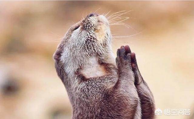 今年26了<strong></p>
<p>币盛网</strong>，想学习一门可以长久发展的技术，本人男，有点内向，有什么合适的行业吗？