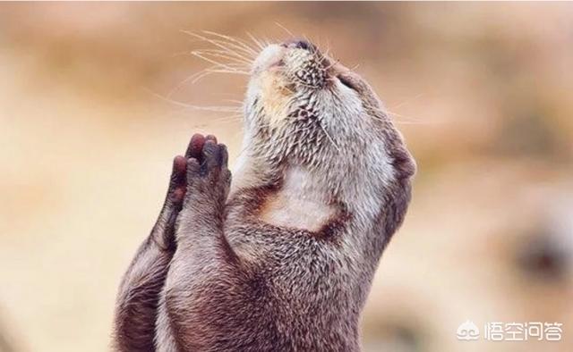 今年26了<strong></p>
<p>币盛网</strong>，想学习一门可以长久发展的技术，本人男，有点内向，有什么合适的行业吗？