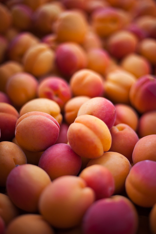 桃子(桃子姐) 桃子(桃子姐)