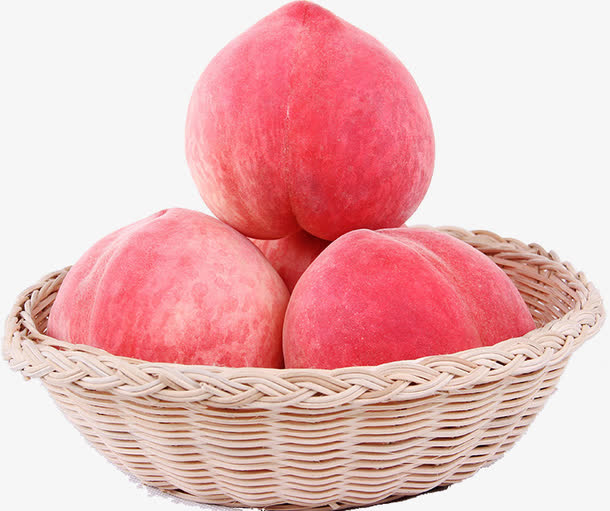 桃子(桃子移植调养女孩像素游戏) 桃子(桃子移植调养女孩像素游戏)