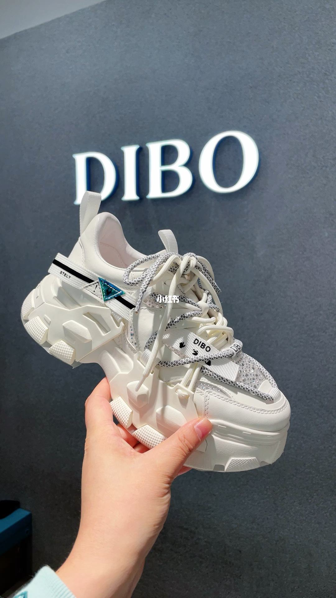 DiBi(地表水质量标准GB38382002) DiBi(地表水质量标准GB38382002)