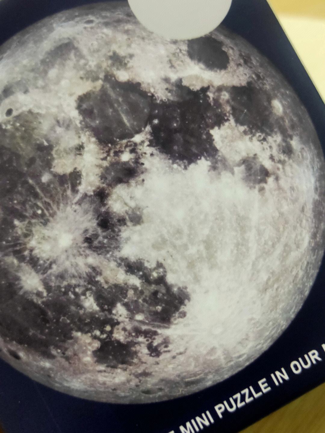 KiBiEx的简单介绍 KiBiEx的简单介绍