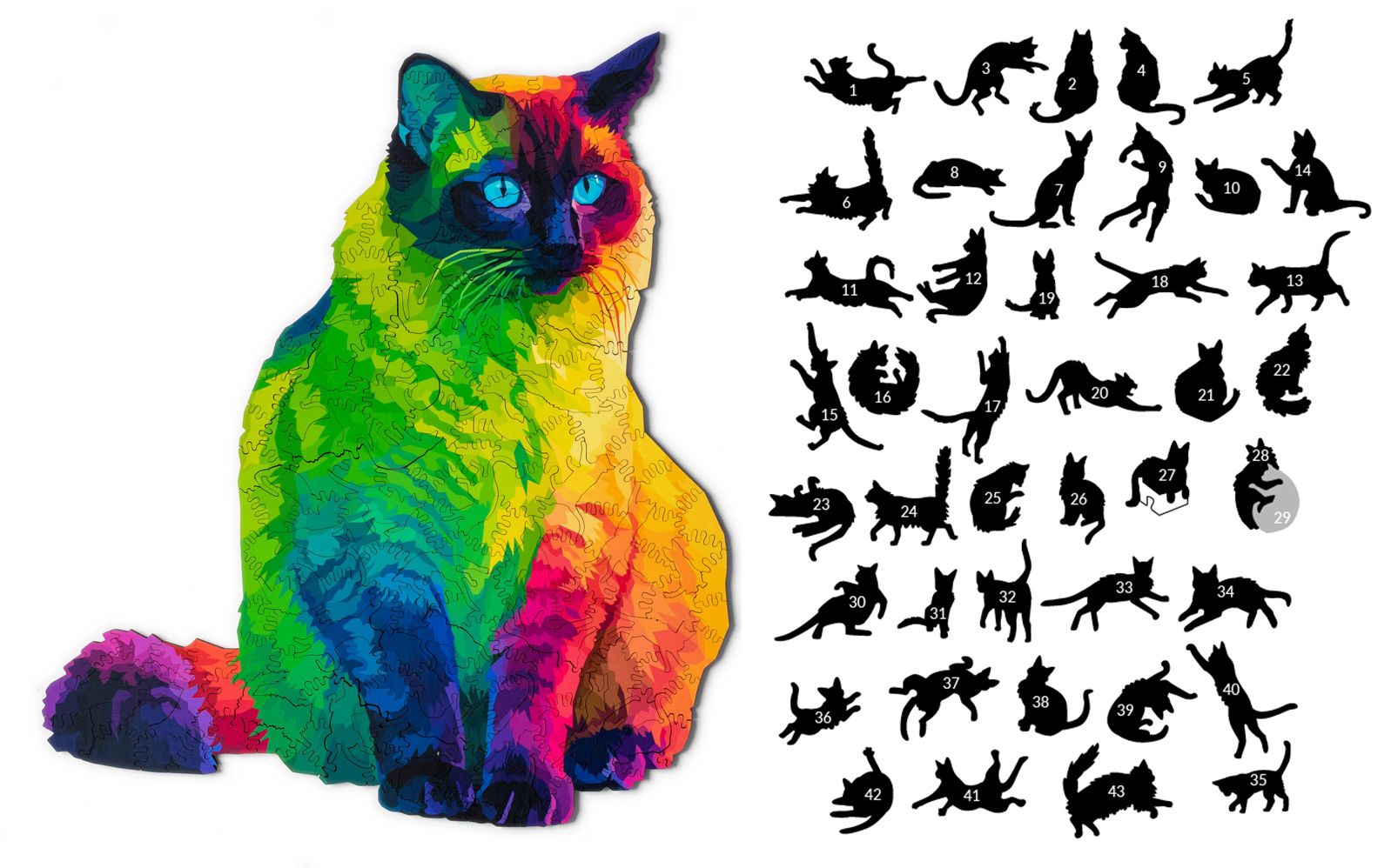 彩虹猫理财(彩虹猫24小时视频)