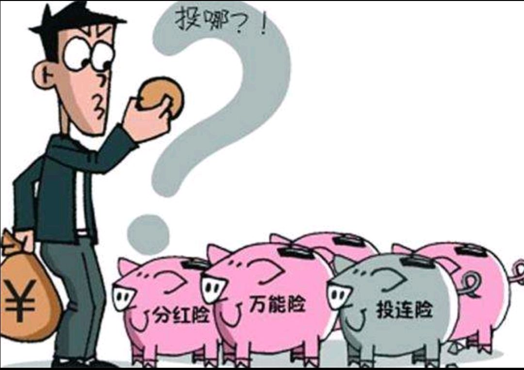 较好理财险(比较好的理财险) 较好理财险(比较好的理财险)