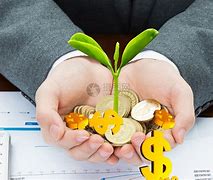 早趣理财(早点理财欺诈案进展)