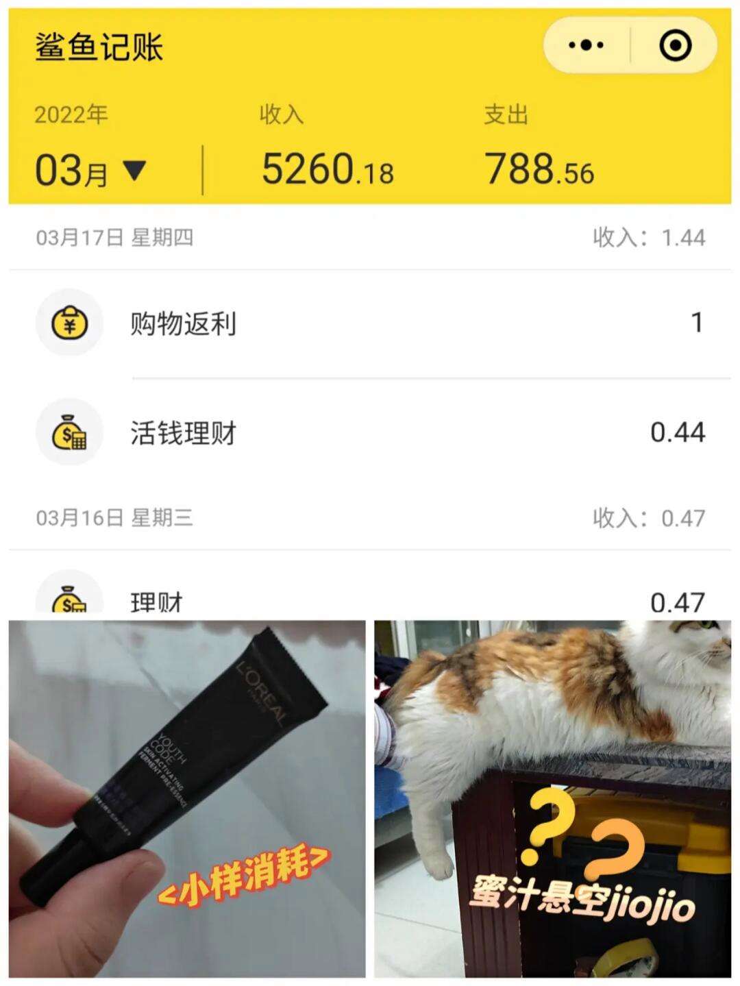 调休日理财(理财遇到节假日延后有收益吗)