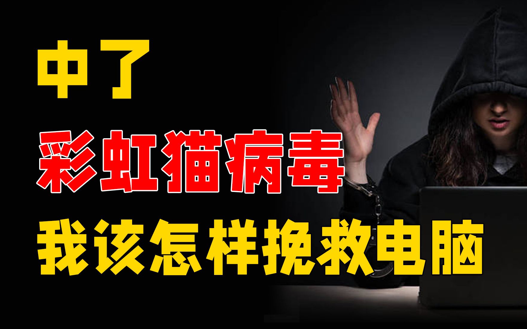 彩虹猫理财(彩虹猫的技巧)