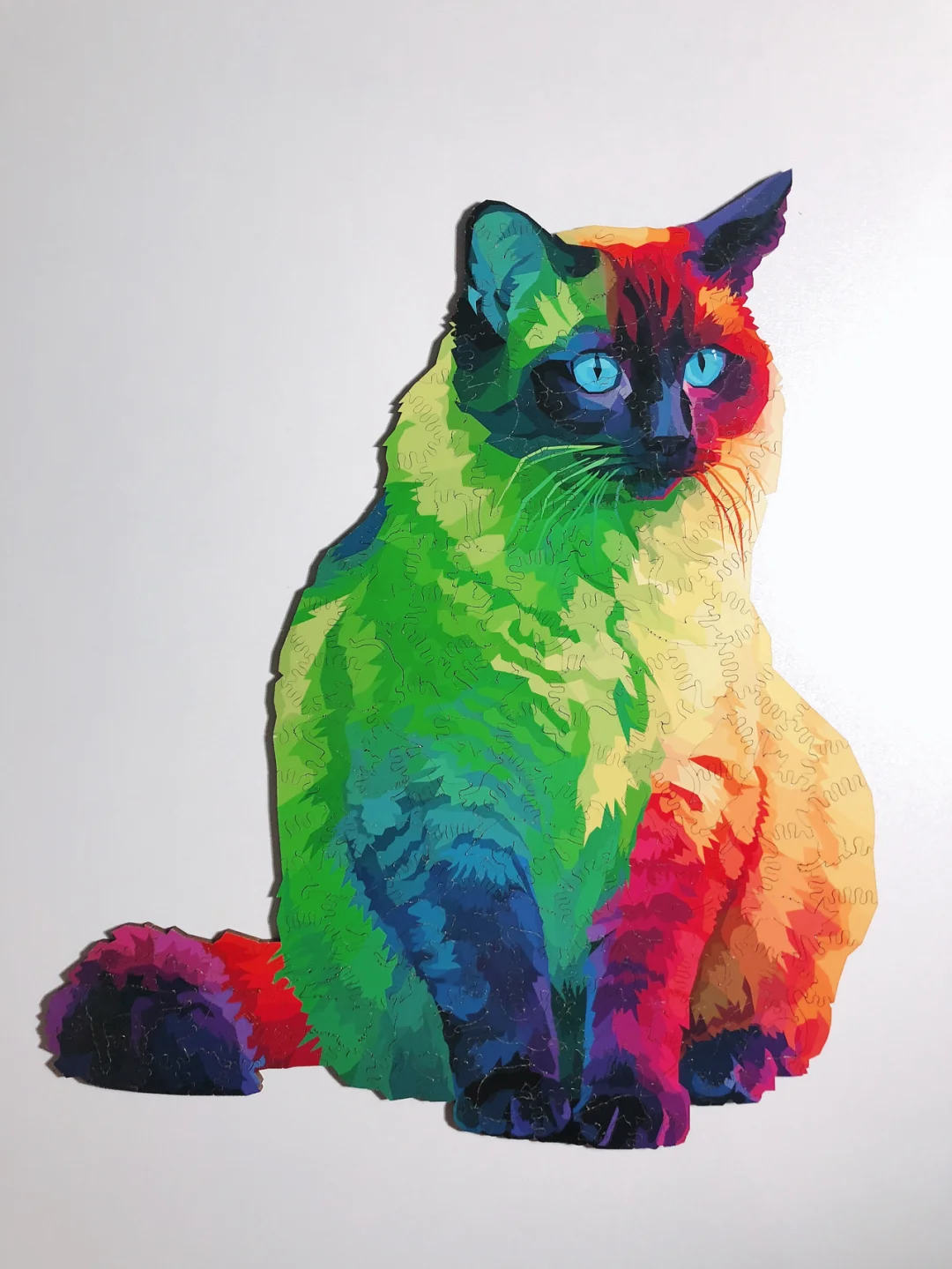 彩虹猫理财(彩虹猫原版视频)