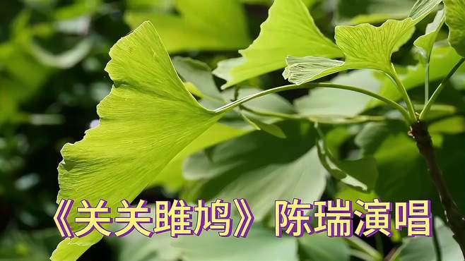 泰达币
</div>
<div class=