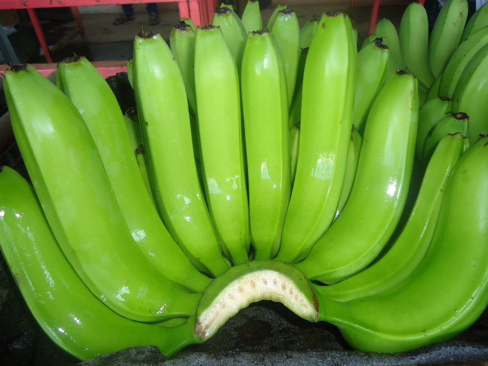 香蕉(香蕉牛奶)