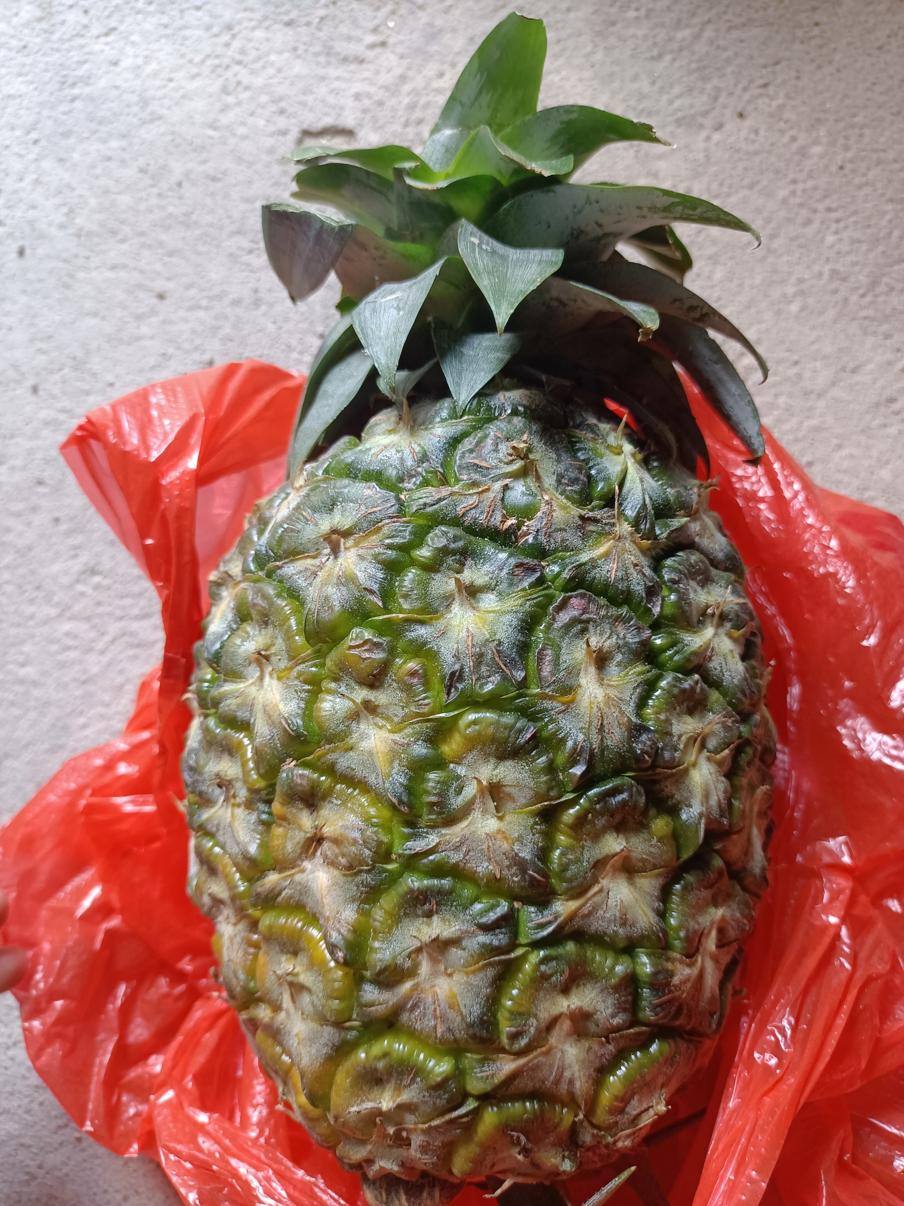 菠萝(菠萝是几月份的应季水果)