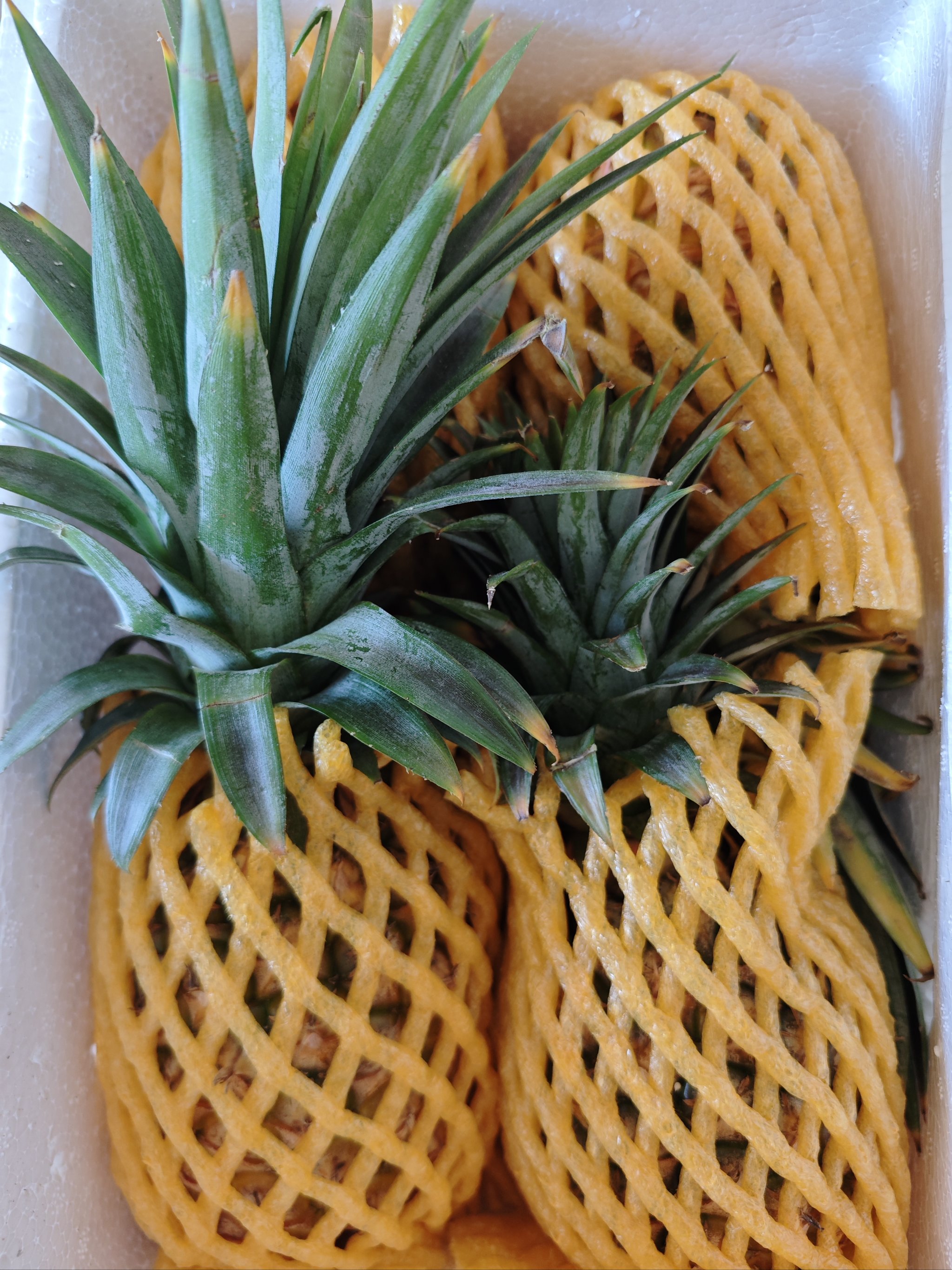 菠萝(菠萝吃多了会怎么样) 菠萝(菠萝吃多了会怎么样)