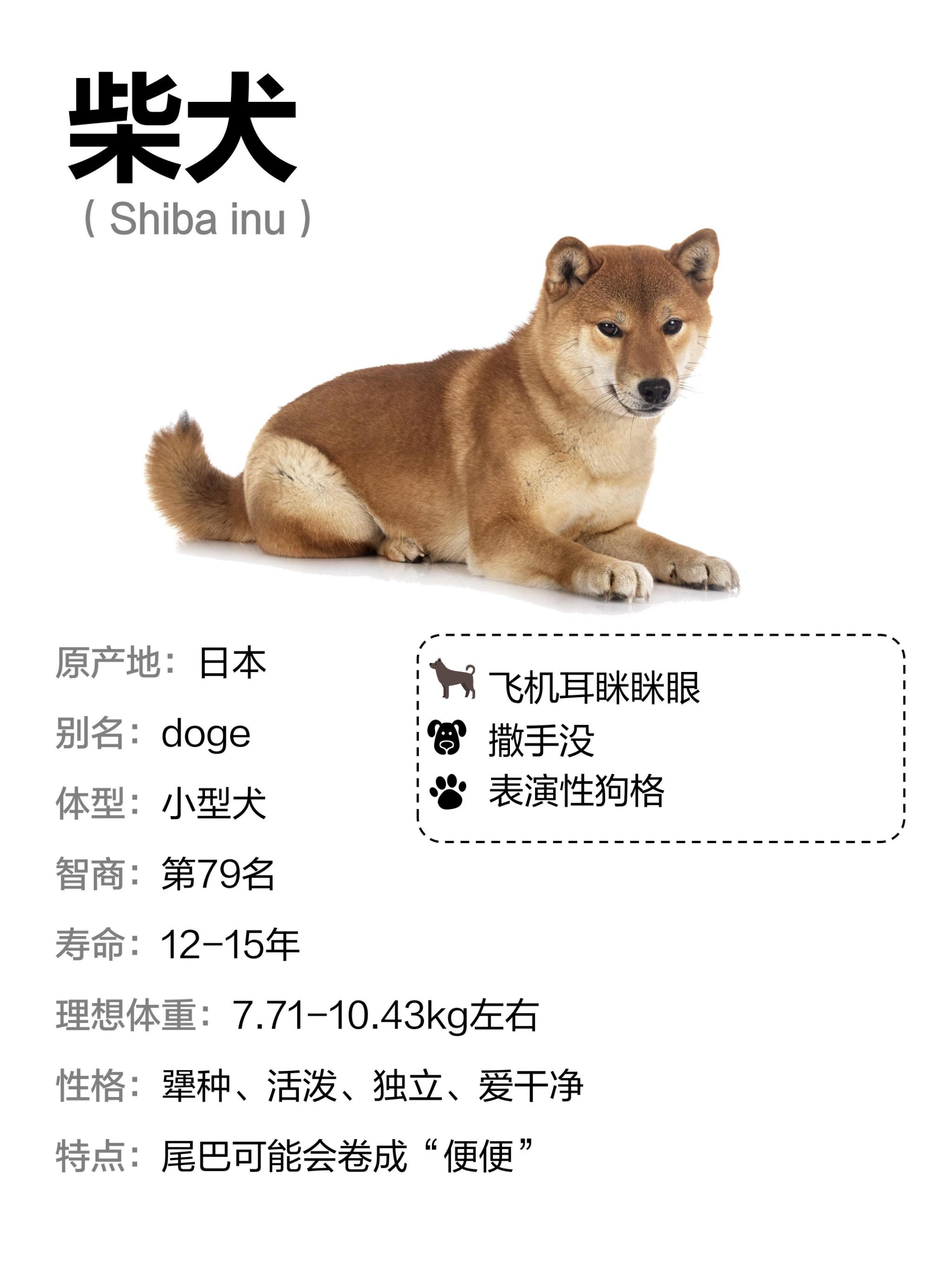 柴犬币最新价格(柴犬币最新价格人民币)