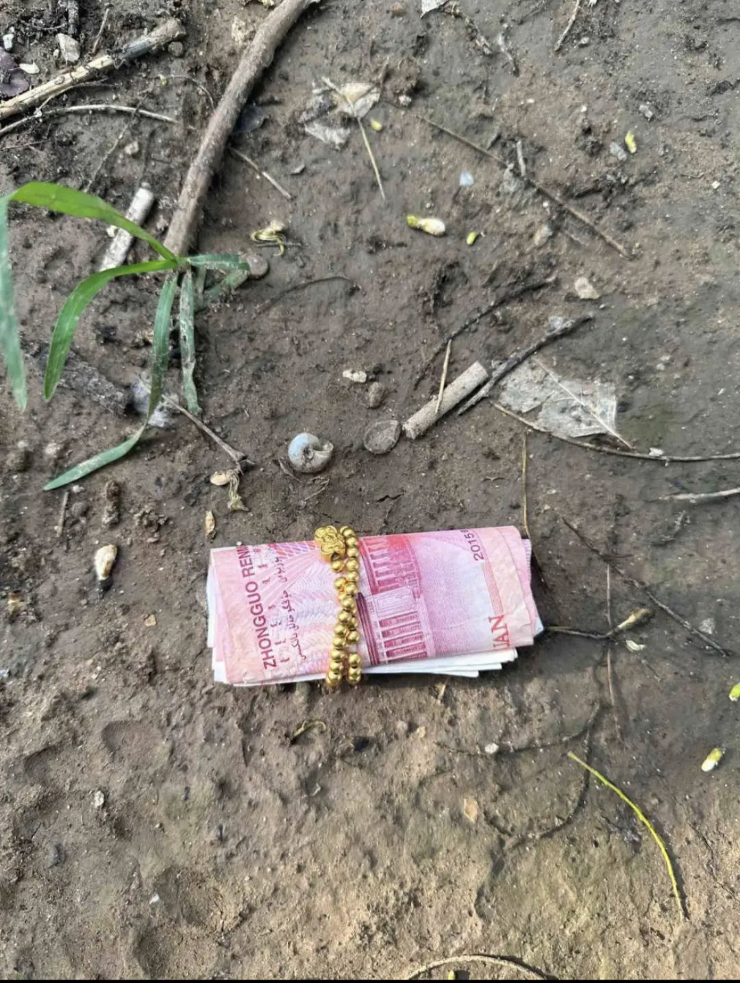 屎币(屎币2025会涨到多少)