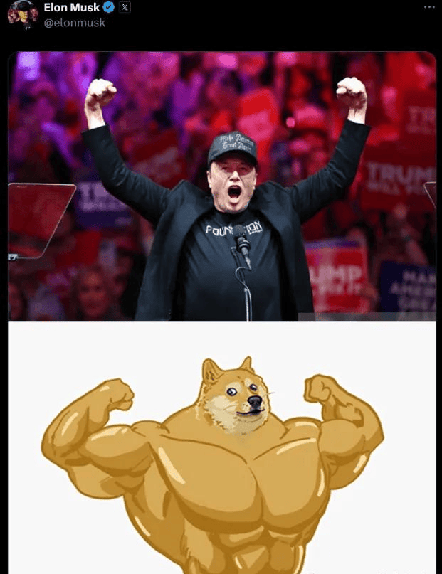 DOGE币(doge币未来升值前景)