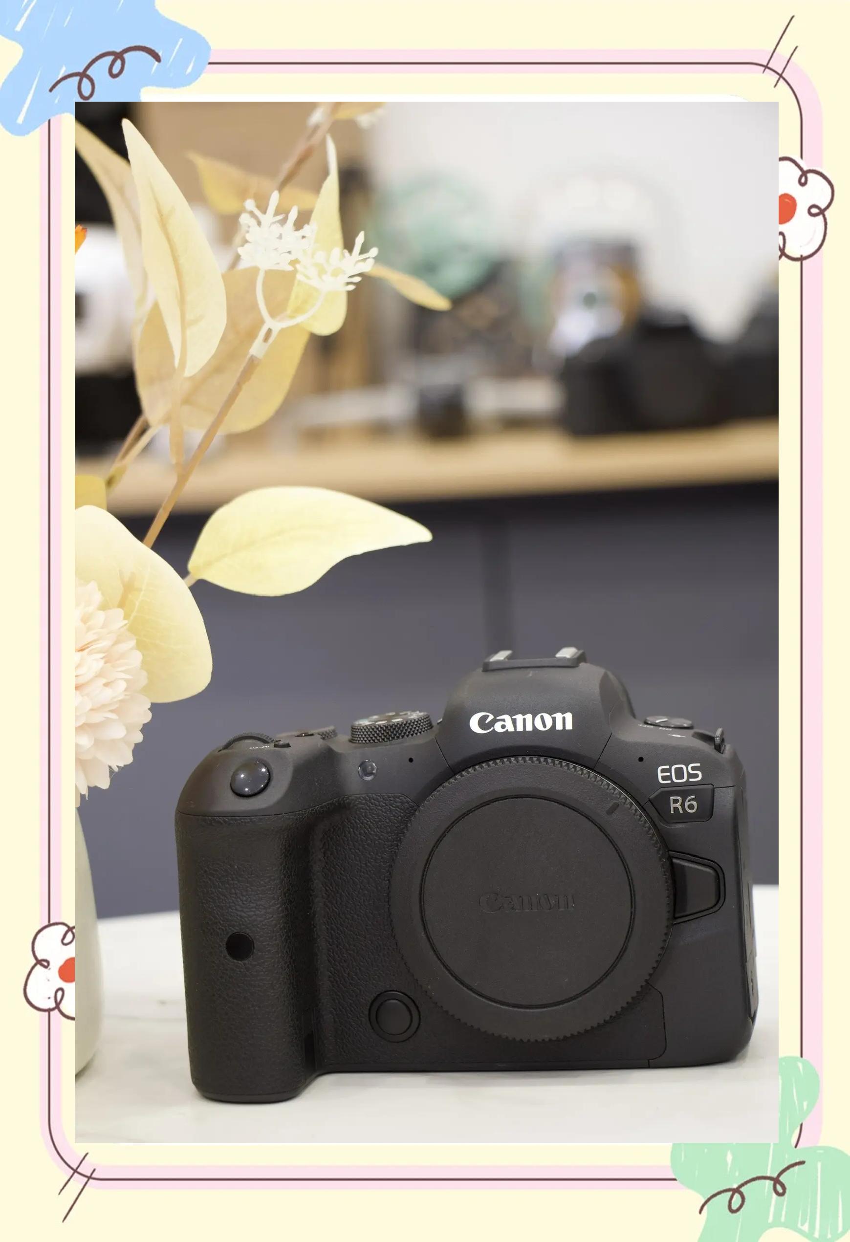 EOS价格(虚拟币eos价格)