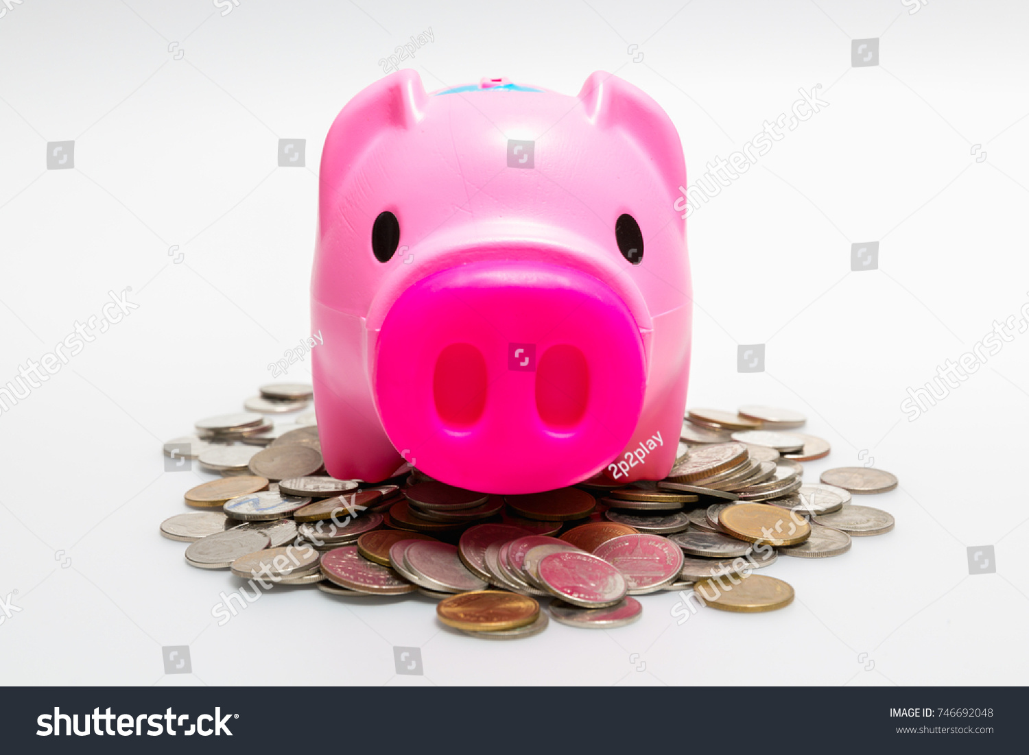 PIG币(pig币价格)