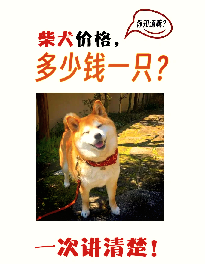 柴犬币最新价格(狗狗币今日价格行情)