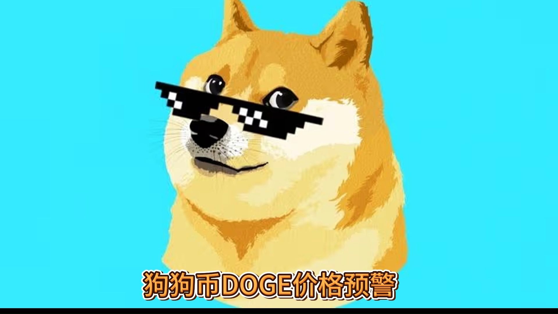 DOGE币行情(doge币行情预测)