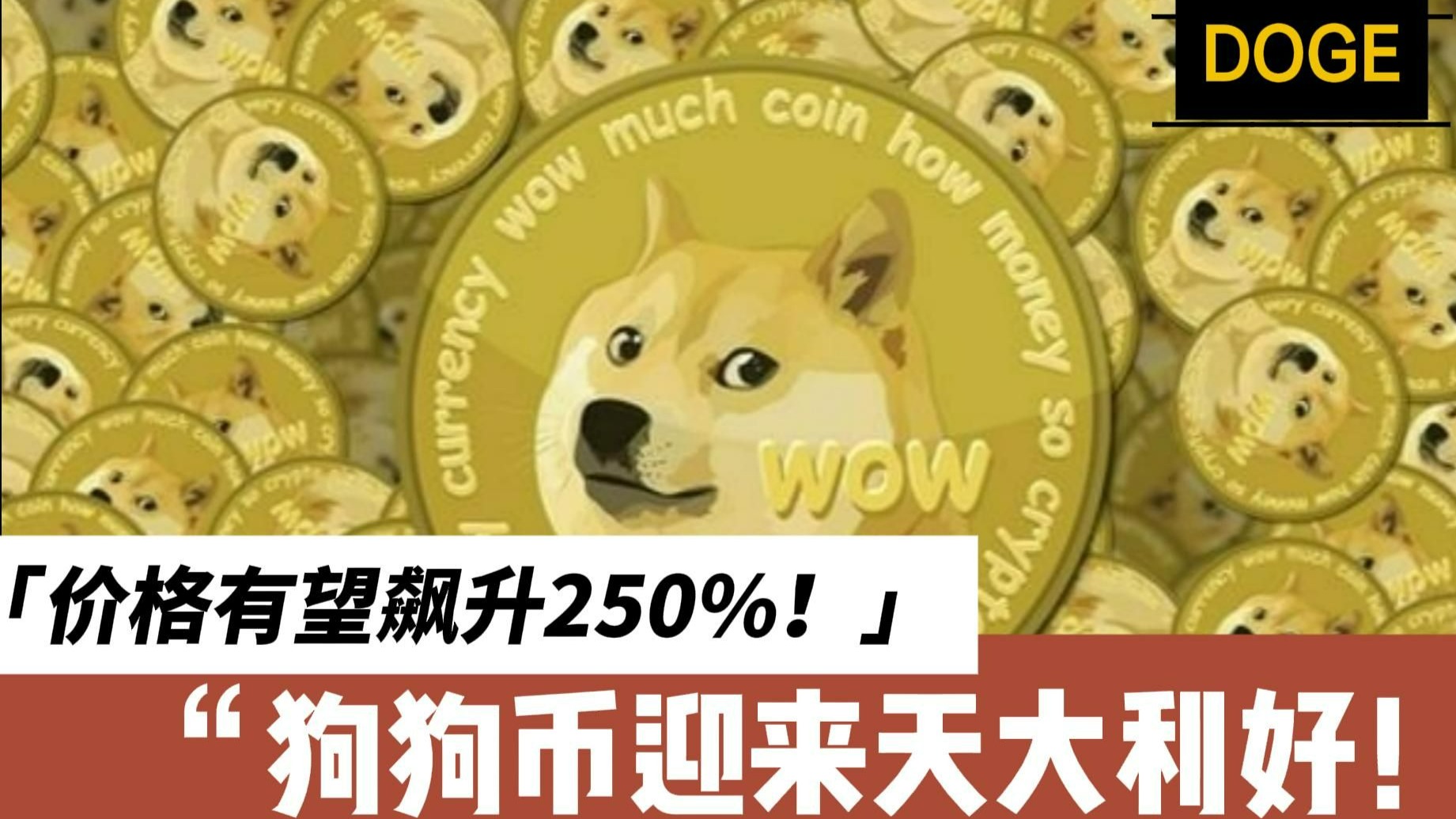 狗币的今日价格(狗币的今日价格k线图分析)