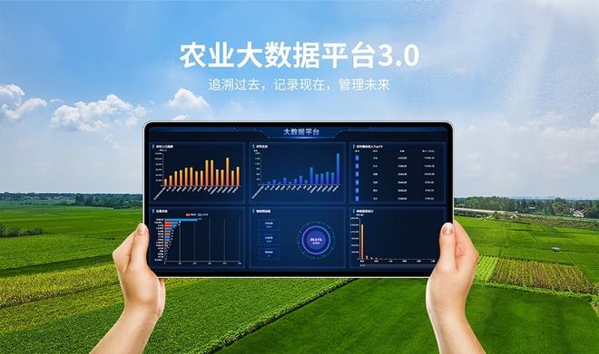 大数据(大数据是什么意思)