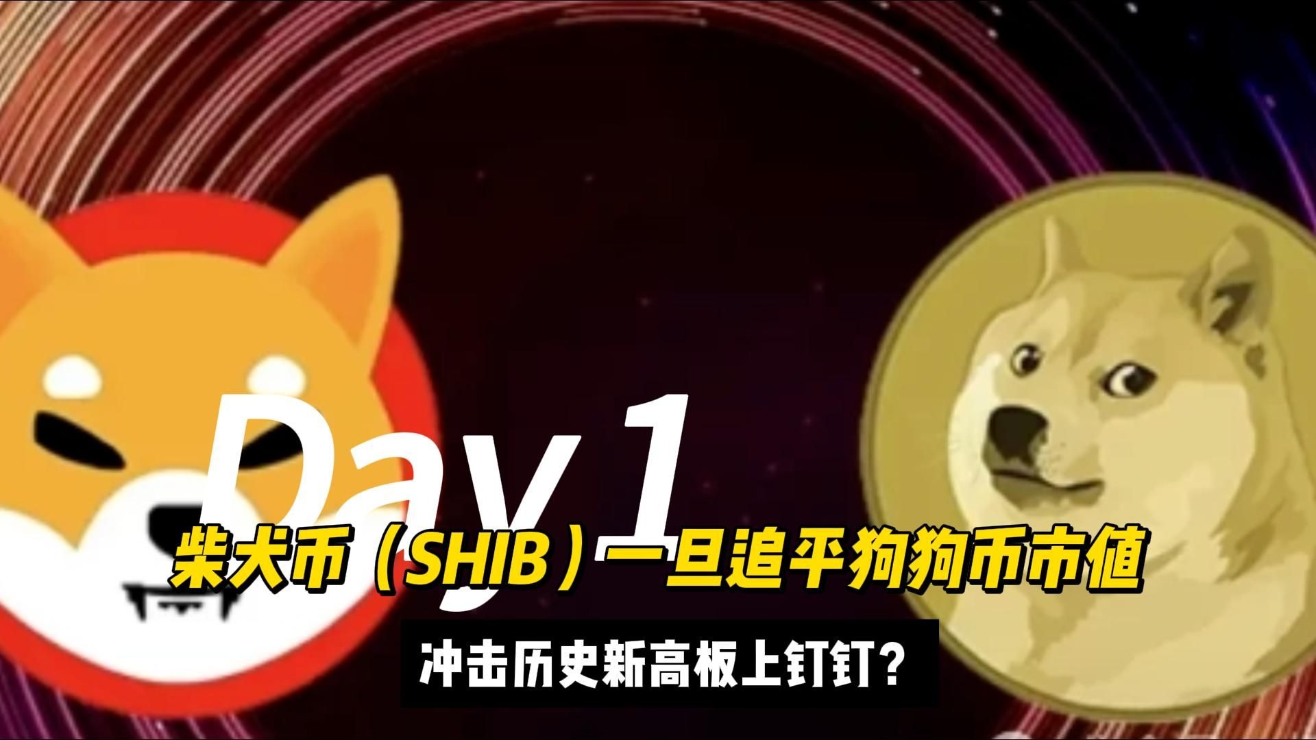 SHIB币最新消息(shib币最新消息热议)