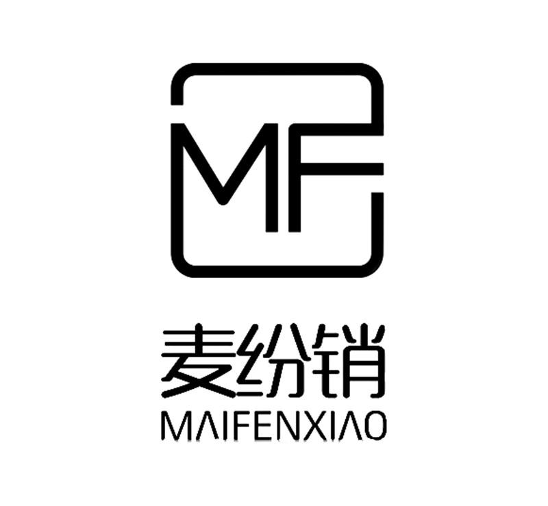 MFT(mft变形金刚)