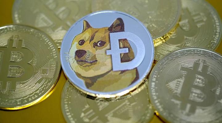 狗屎币(狗屎币涨了多少倍了)