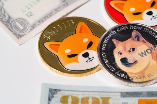 柴犬币最新价格(柴犬币shib最新价格)