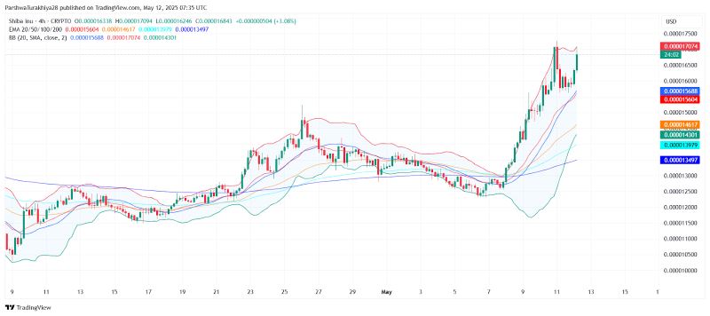 SHIB币最新价格(shib币最新价格是多少)