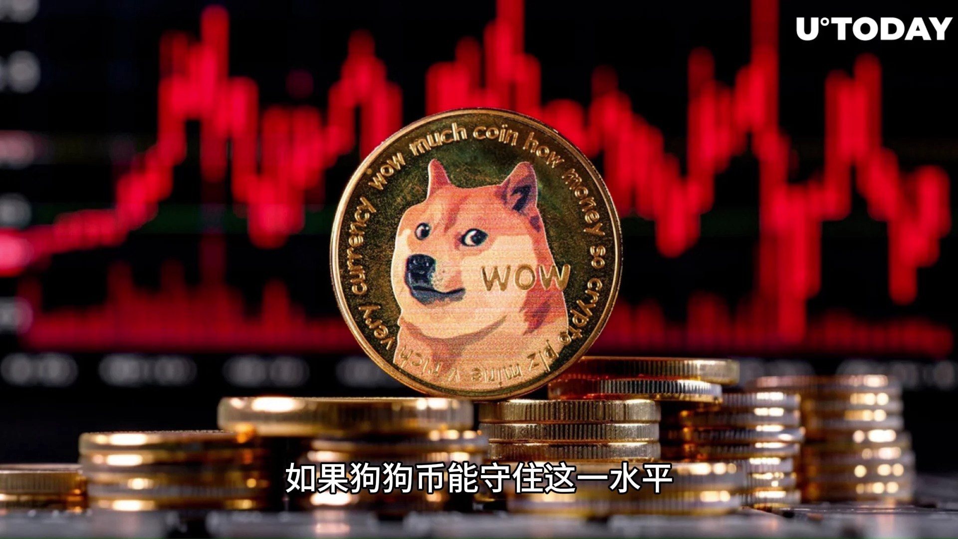 DOGE币行情(doge币今日价格行情)