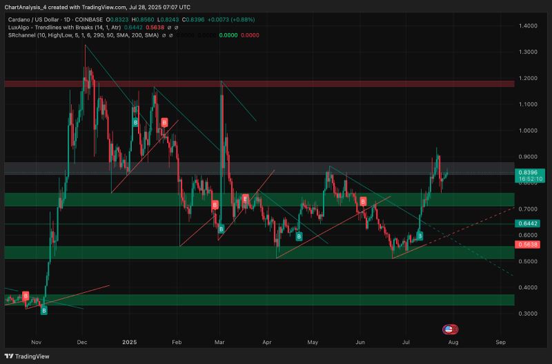 ada(adaptation) ada(adaptation)