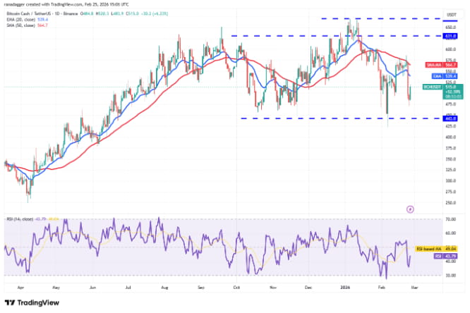 火特币行情(火特币网官网app)